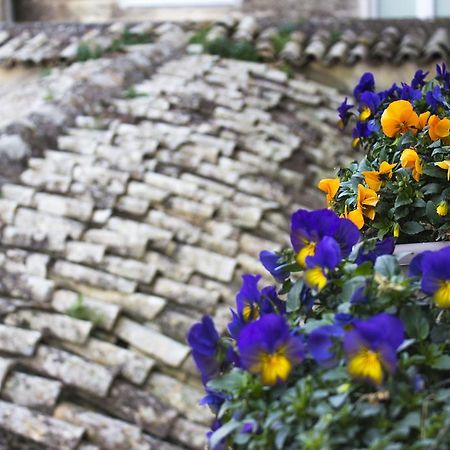 Le Violette Villa Matera Dış mekan fotoğraf