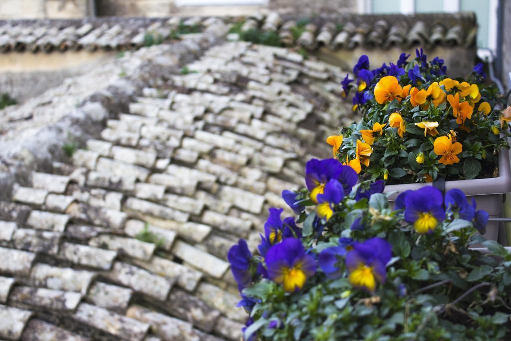 Le Violette Villa Matera Dış mekan fotoğraf